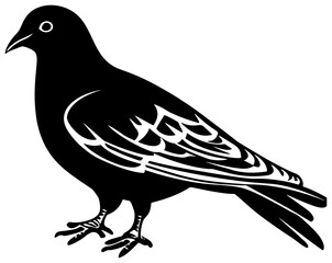 Fototapeta premium Silhouette of dove bird