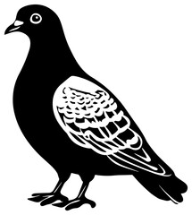 Fototapeta premium Silhouette of dove bird