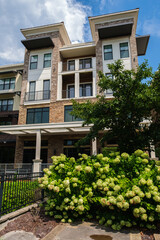 Urban Apartment Life