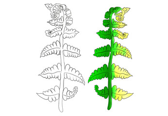 Abstract Hand-Drawn Floral Vector with Ornate Leaves,An abstract botanical drawing with a stylized plant illustration, ornate leaves, and decorative foliage, perfect as a vector for design, logos.