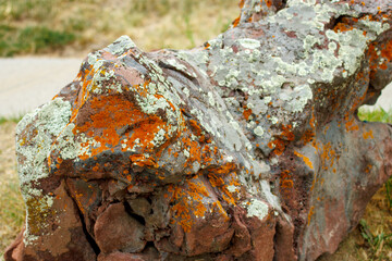 Fototapeta premium Lichen-covered rock