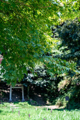 鎌倉25821　法華堂跡3