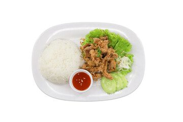 Fried Garlic Pork with Rice: A mouthwatering shot of fried garlic pork, meticulously presented alongside a generous portion of fluffy rice, fresh lettuce and cucumbers.