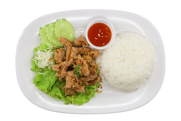 Fried Pork and Rice Dish: A culinary composition featuring golden-fried pork, fluffy white rice, a vibrant sauce, fresh cucumber slices, and verdant lettuce on a pristine, appetizing plate.