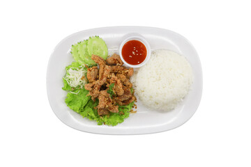 Culinary Harmony: A Top-Down View of a Culinary Delight featuring perfectly prepared rice, succulent fried food, and fresh cucumber slices accompanied by a vibrant chili dipping sauce.