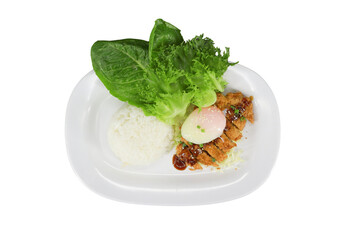 Savory Delight: A culinary creation showcases a perfectly plated meal, featuring tender chicken, fluffy rice, fresh lettuce, and a delicate egg, offering a feast for the eyes and taste buds.