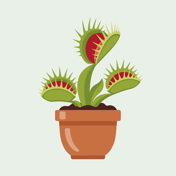 Cartoon illustration of a venus flytrap plant in a brown pot.