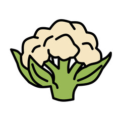 A stylized illustration presents a head of cauliflower as the central subject, positioned squarely in the frame. The cauliflower florets are depicted in a creamy, off-white hue, forming a dense, round