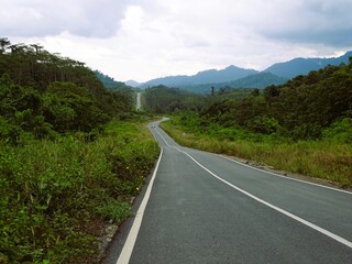 A winding road stretches peacefully through the lush trees of the Meratus Mountains.
