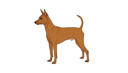 Profile view of a reddish-brown dog