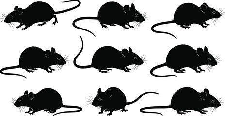 Collection of black mouse silhouettes in various poses, isolated on white background, vector illustration for pest control, Halloween, or science