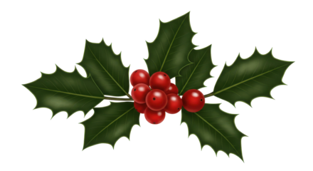 Vibrant holly branch isolated on white background with red berries and green leaves symbolizing winter festivities