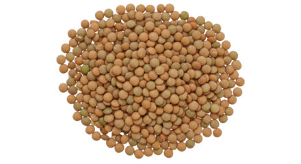 A close up view of a pile of lentils isolated on white background showcasing texture and color