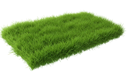 Lush green grass patch isolated on white background for nature themed design