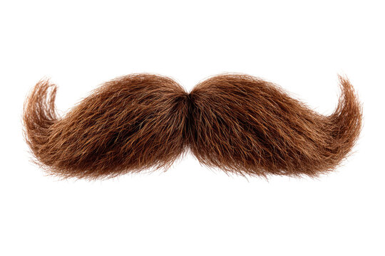 A detailed, light brown mustache