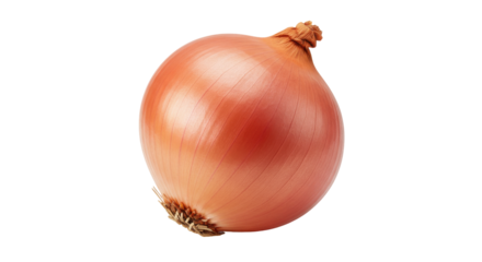 Freshly harvested onion with smooth skin attractively arranged isolated on white background