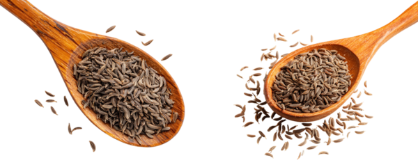 Two spoons filled with cumin seeds