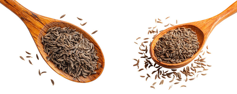 Two spoons filled with cumin seeds
