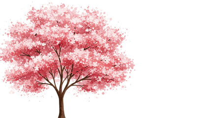 Fototapeta premium Vibrant cherry blossom tree in full bloom isolated on white background symbolizing spring