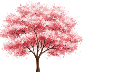 Vibrant cherry blossom tree in full bloom isolated on white background symbolizing spring