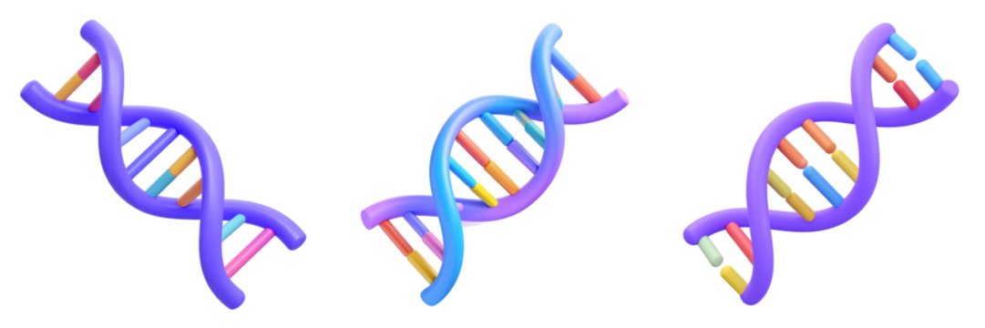 Three DNA Strands Displayed On Transparent Background With Blue Purple And Yellow Tones Illustrating The Biology Of Genetic Science