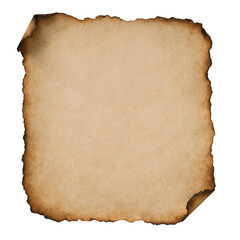 Torn Paper with Burnt Edges