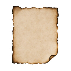 Torn Paper with Burnt Edges