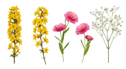 Colorful bouquet of flowers featuring yellow blooms and pink roses isolated on white background