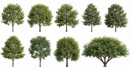 a set of realistic trees on a transparent background