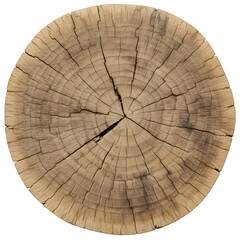Large piece of wood with many rings and grooves isolated on white or transparent background. PNG