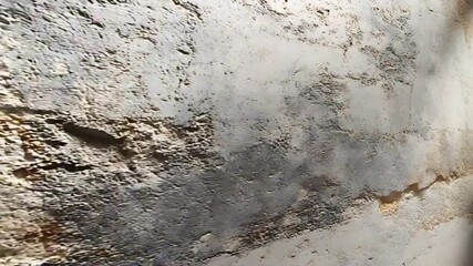 Weathered wall texture showing peeling paint and cracks in an urban setting with natural light - Powered by Adobe