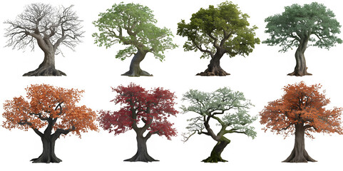 Cutting trees shapes on transparent backgrounds 3d render png.