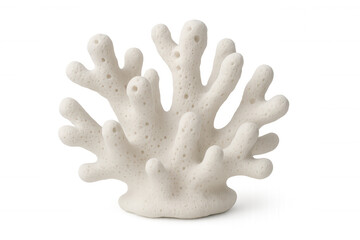 Obraz premium White coral specimen displaying delicate branching structure, floating on transparent backdrop, ideal for nautical design elements