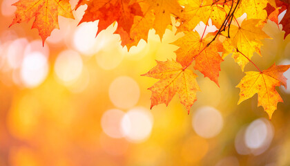Close-up of vibrant autumn maple leaves with bright orange and yellow colors, sunlight.