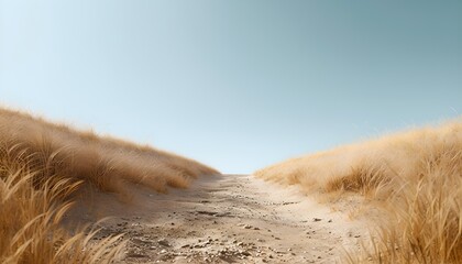 Tan Path Through Dry Golden Grass Field Leading to Pale Blue Sky