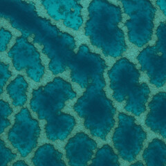 Fototapeta premium Aerial Coral Reef — Turquoise Ocean Seamless Texture