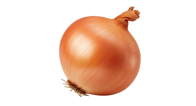 Fresh whole onion isolated on white background showcasing its smooth skin and natural color