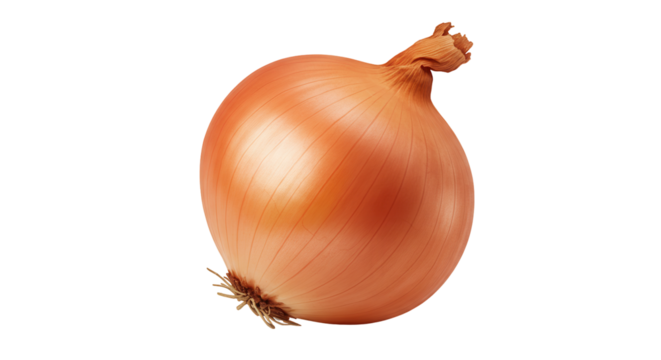 Fresh whole onion isolated on white background showcasing its smooth skin and natural color