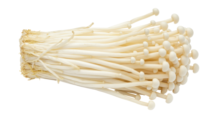 Fresh enoki mushrooms isolated on white background highlighting their delicate structure