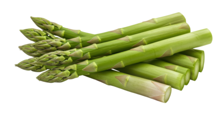Fresh green asparagus stalks arranged neatly isolated on white background highlighting their vibrant color and texture