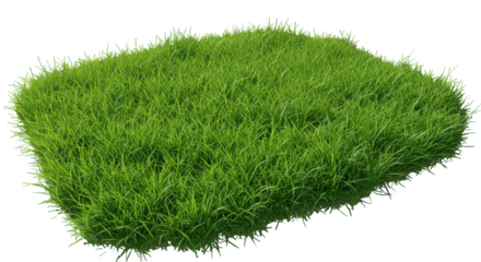 Lush green grass patch on a sunny day perfect for outdoor activities and relaxation isolated on white background