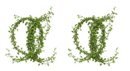 Intricate green vines forming decorative letter shapes isolated on white background