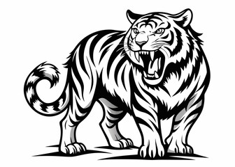 Fierce tiger roaring with open mouth and bared teeth