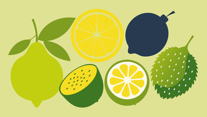 Assortment of stylized citrus fruits and a spiky fruit on a light green background