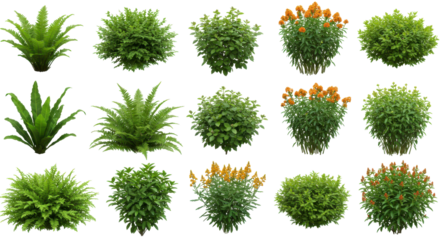 A vibrant collection of lush green plants and flowering shrubs isolated on white background arranged artistically