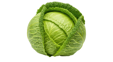 Fototapeta premium Fresh green cabbage with layered leaves isolated on white background ideal for culinary use