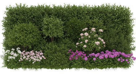 Obraz premium Lush garden landscape featuring vibrant flowers and dense greenery in a serene setting isolated on white background