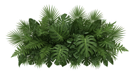 Lush green tropical foliage arrangement isolated on white background with various plants in a natural setting