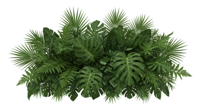 Lush green tropical foliage arrangement isolated on white background with various plants in a natural setting