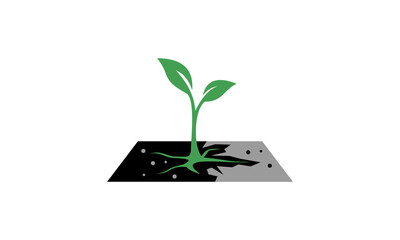 Logo featuring a young plant with roots breaking through contrasting soil, symbolizing resilience, development, and overcoming challenges.